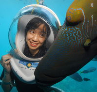 Sunlover Reef Cruises - Australia Accommodation