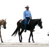 Ride the Beach - Australia Accommodation