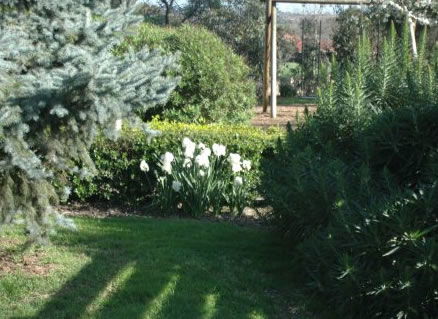 The Old Cheese Factory - Australia Accommodation 2