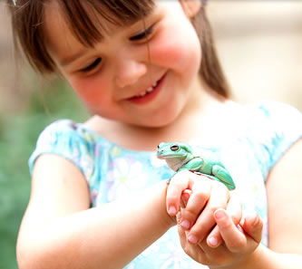 Reptile Encounters - Australia Accommodation 1