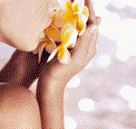 Tranquillity Spa  Beauty - Australia Accommodation