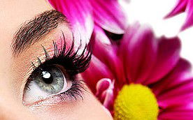 Glow Retreat - Australia Accommodation 5