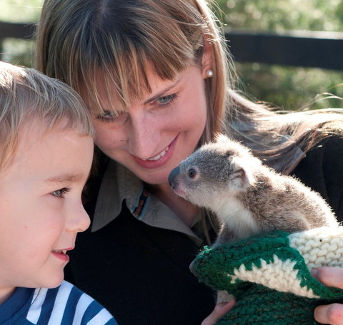 Australian Reptile Park - Australia Accommodation 1