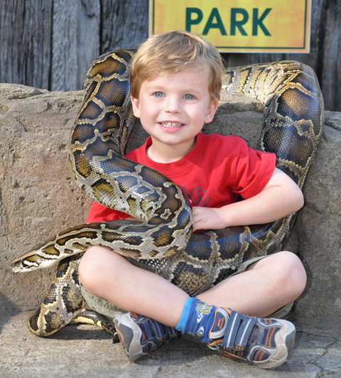 Australian Reptile Park - Australia Accommodation 3