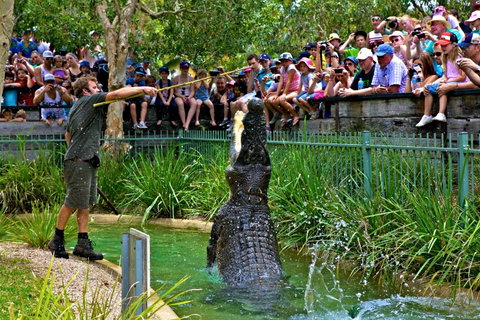 Australian Reptile Park - Australia Accommodation 4