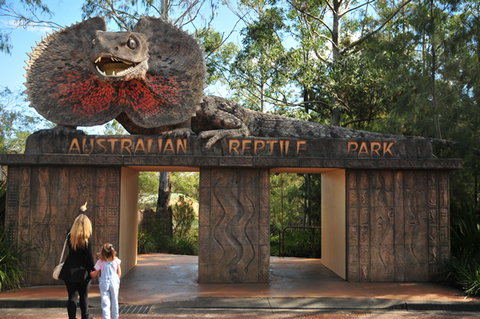 Australian Reptile Park - Australia Accommodation 5