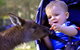 Australian Reptile Park - thumb 6