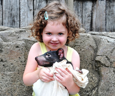 Australian Reptile Park - Australia Accommodation 8