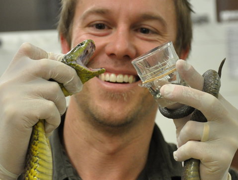 Australian Reptile Park - Australia Accommodation 9