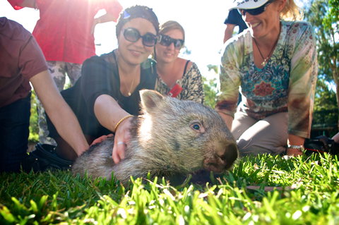 Australian Reptile Park - Australia Accommodation 10