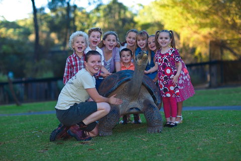 Australian Reptile Park - Australia Accommodation 11