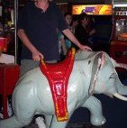 Twin Cities Tenpin Bowl - Australia Accommodation 3