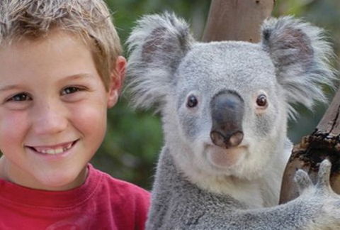 Featherdale Wildlife Park - Australia Accommodation 1