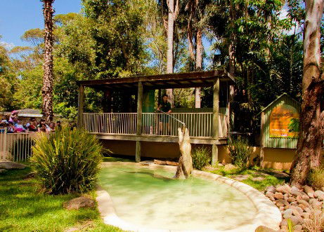 Featherdale Wildlife Park - Australia Accommodation 2