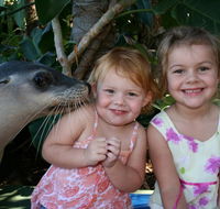Dolphin Marine Magic - Australia Accommodation