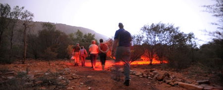 Alice Springs Desert Park - Australia Accommodation 4