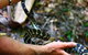 Queensland Day Tours - thumb 1