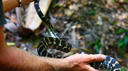 Queensland Day Tours - Australia Accommodation 1