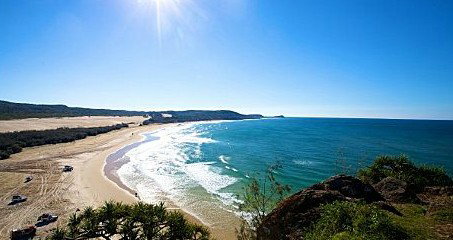 Queensland Day Tours - Australia Accommodation 11