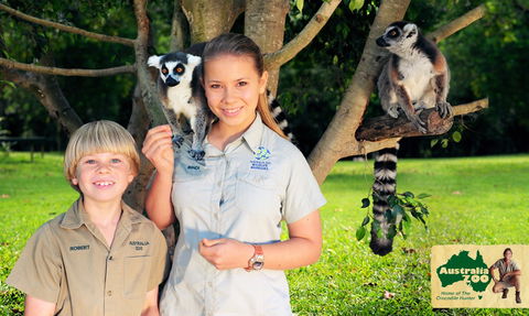 Australia Zoo - Australia Accommodation 2