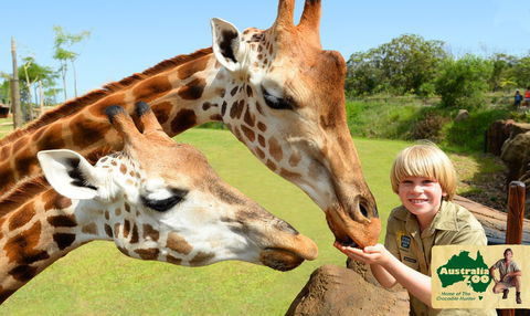 Australia Zoo - Australia Accommodation 4