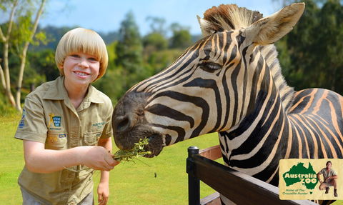 Australia Zoo - Australia Accommodation 5