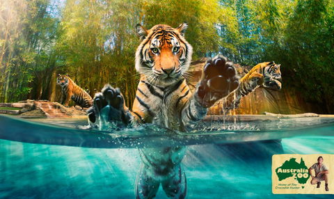 Australia Zoo - Australia Accommodation 9