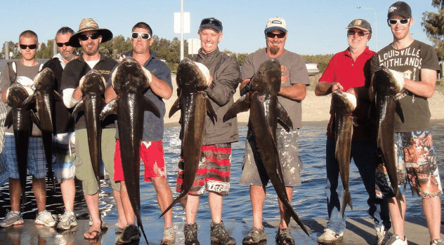 BKs Gold Coast Fishing Charters - Australia Accommodation 1