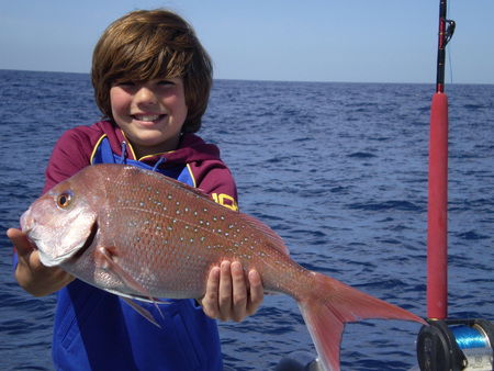 Mills Charters Fishing And Whale Watch Cruises - Australia Accommodation 4