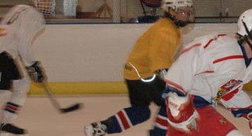 Hunter Ice Stadium - Australia Accommodation 2
