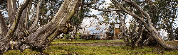 High Country Scenic Tours - Australia Accommodation