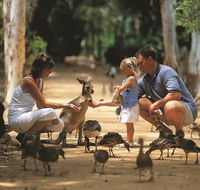 Billabong Sanctuary - Australia Accommodation