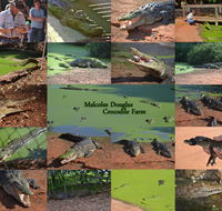 The Malcolm Douglas Crocodile Park - Australia Accommodation