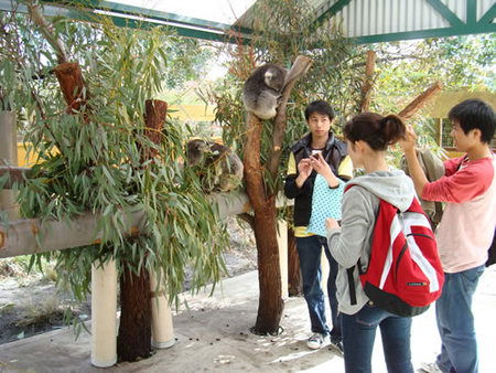Caversham Wildlife Park - Australia Accommodation 4