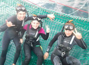 Dolphin Swim Australia - Australia Accommodation 7