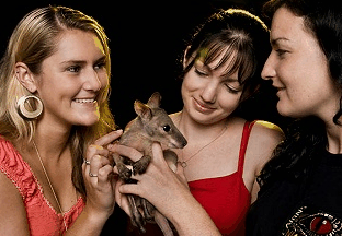 Cairns Night Zoo - Australia Accommodation 1