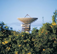 Big Dish - Australia Accommodation
