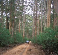 Boranup Drive - Australia Accommodation