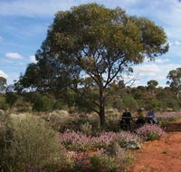 Karlkurla Bushland Park - Australia Accommodation