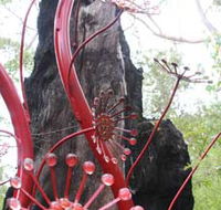 Understory Art In Nature - Australia Accommodation