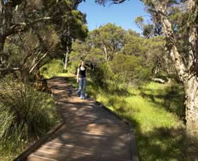 Leschenault Peninsula Conservation Park - Australia Accommodation 0
