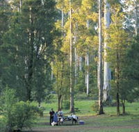 Big Brook Arboretum - Australia Accommodation