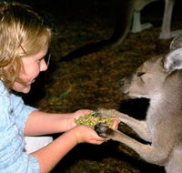 Discovery Bay's Walk on the Wild Side - Australia Accommodation