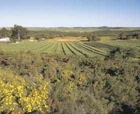 Chapman Valley Scenic Drive - Australia Accommodation 0
