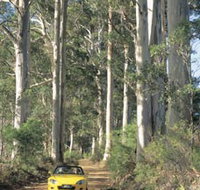 Mount Shadforth Scenic Drive - Australia Accommodation
