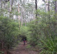 Margaret River Rails Trail - Australia Accommodation