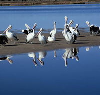 Peel Region Canoe Trails - Australia Accommodation