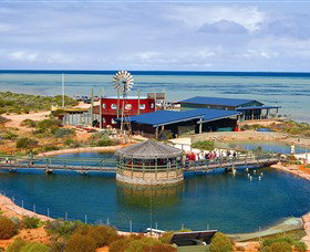 Shark Bay WA Australia Accommodation