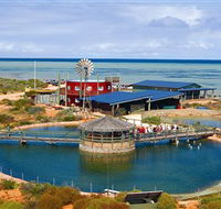 Ocean Park Aquarium - Australia Accommodation