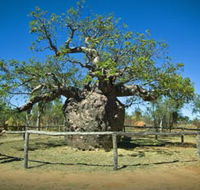 Pigeon Heritage Trail - Australia Accommodation